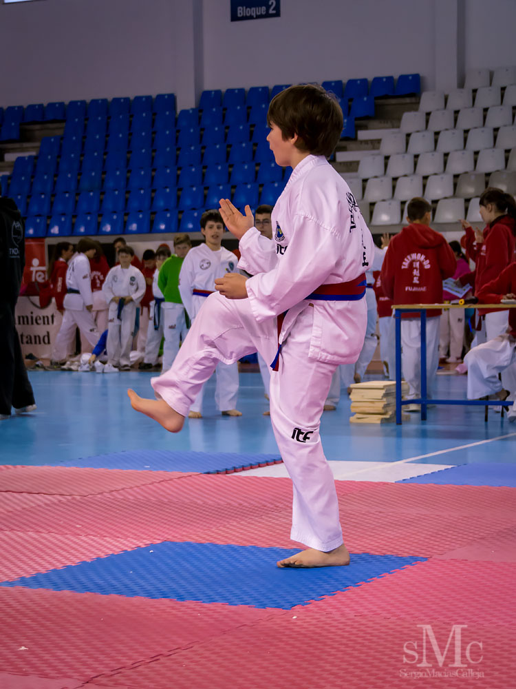 TAEKWONDO CAMPEONATO PAREJAS ABRIL 2018_1879.jpg